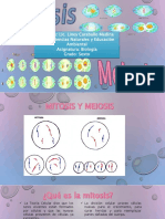 Mitosis y Meiosis