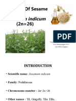 Breeding of Sesame (2n 26) : Sesamum Indicum