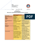 Cuadro Comparativo Celula Eucariota y Procariota