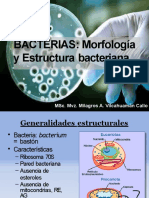 CLASE 4 Estructura y Morfología Bacteriana