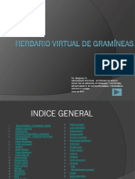 Herbario Virtual Gramineas