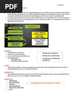 Classe 10 - Plastron Apendicular