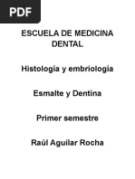 Dentina y Esmalte