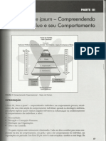 Plt-Comportamento Organizacional-Parte3-Cap7 8 9 e 10