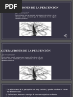 Alteraciones de La Percepción