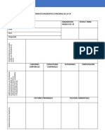 Formato Diagnóstico Funcional de La Cif