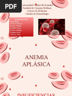 Grupo 4 - Anemia Aplásica - Diapositivas