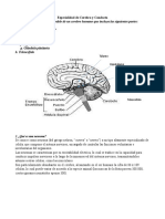 Especialidad de Cerebro y Conducta