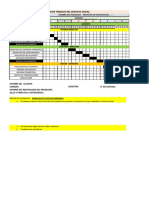 Cronograma de Actividades SS