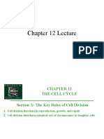 Cell Cycle Campbell