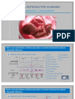 Ciências 9º Ano Sistema Reprodutor - Fecundação