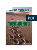 Pelos Caminhos Do Taekwondo