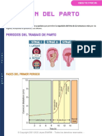 Trabajo de Parto