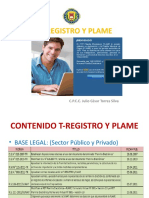 Diapositivas T-Registro y PLAME-REPRODUCIR