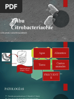 Tribu Citrobacteriaceae