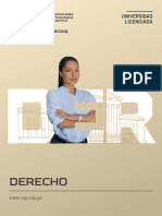 UTP Brochure Derecho PG