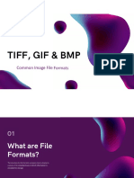 Common Image File Formats