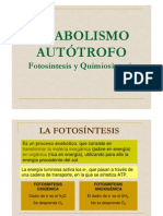 Fotosintesis y Quimiosintesis