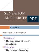 WEEK 7 Sensation and Perception