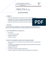 PRÁCTICA 13 Elasticidad