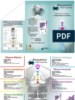 Florais Bioquantum - CHAKRAS