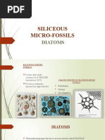 Siliceous Micro-Fossils: Diatoms