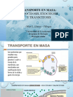 S6 - Transporte