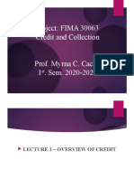 Fima30063-Lect1-Overview of Credit