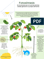 Infografía Biología