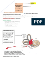 Resumo Otoneuro