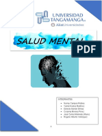 Salud Mental Casi Final