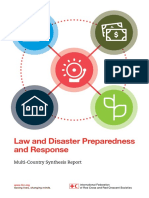 DPR Synthesis-Report en Screen