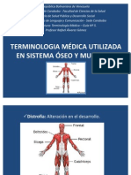 Sistema Oseo y Muscular