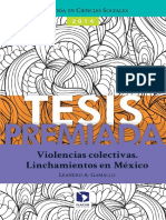 Violencia Colectiva-Linchamientos en México