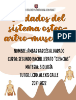 Cuidados Del Sistema Osteo-Artro-muscular