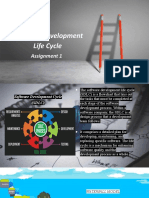 Software Development Life Cycle: Assignment 1