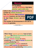 Chapter 1. Cell Division: Meiosis