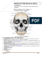 Bones & Joints of Head & Neck