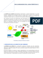 HIDRATOS DE CARBONO (Conceptos Teóricos 2021)