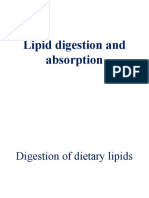 Lipid Digestion and Absorption