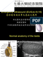 EUS教學 (19) 急診超音波在睪丸急症之應用