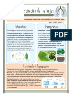 SPA Experimento de Transpiración