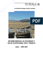 Informe Mensual Sso-Servicios Industriales de La Marina S.a-Junio 2021