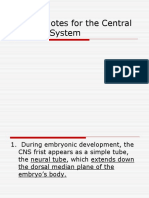 Guided Notes For The Central Nervous System