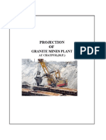 Project Report Granite Mine