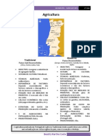 Apontamentos Geografia - 11º Ano (Agricultura)