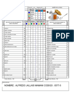 Formato Formulado Diagrama Bimanual