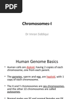 Chromosomes-I: DR Imran Siddiqui