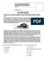 Evalación Diagnóstica de COMUNICACIÓN 5to Grado