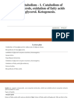 Lipid Metabolism